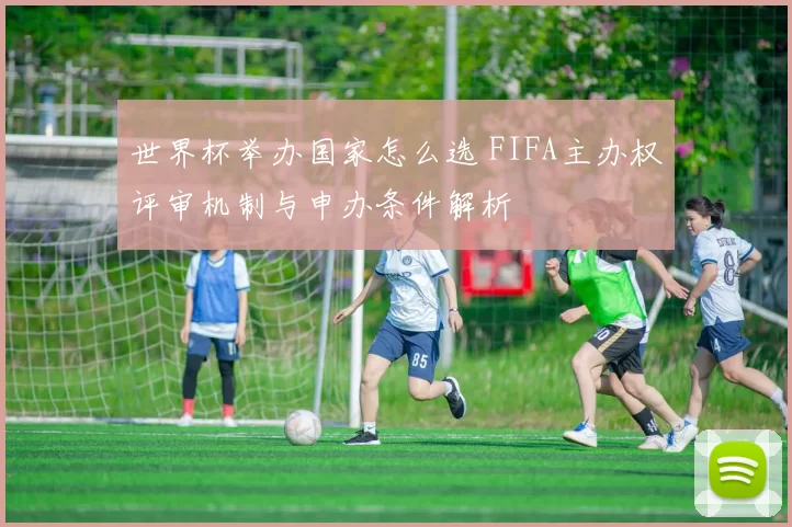 世界杯举办国家怎么选 FIFA主办权评审机制与申办条件解析