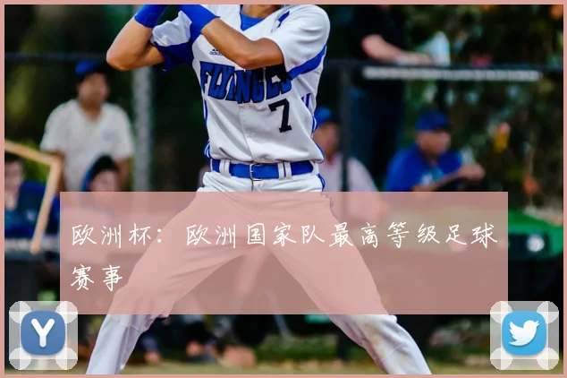 欧洲杯：欧洲国家队最高等级足球赛事