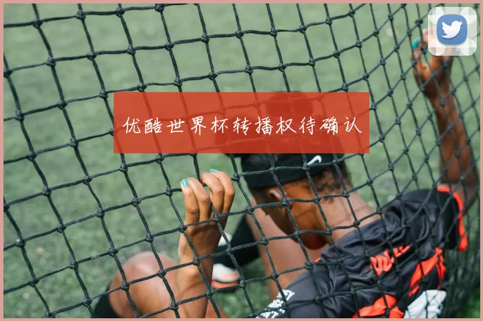 优酷世界杯转播权待确认