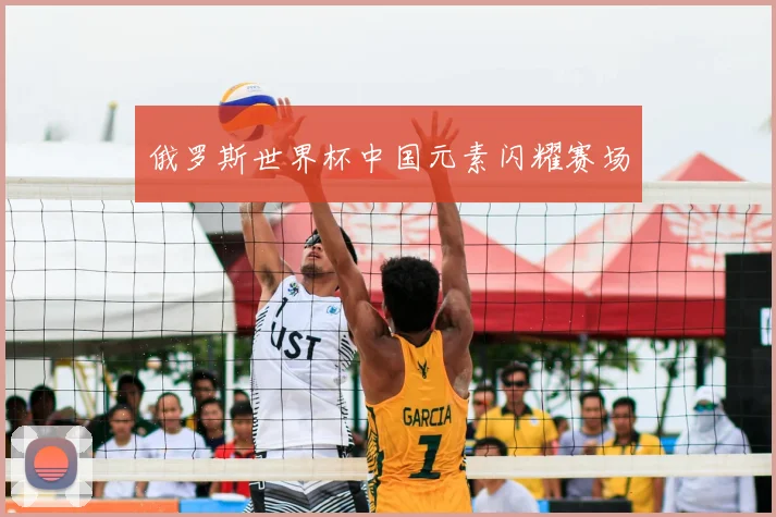 俄罗斯世界杯中国元素闪耀赛场
