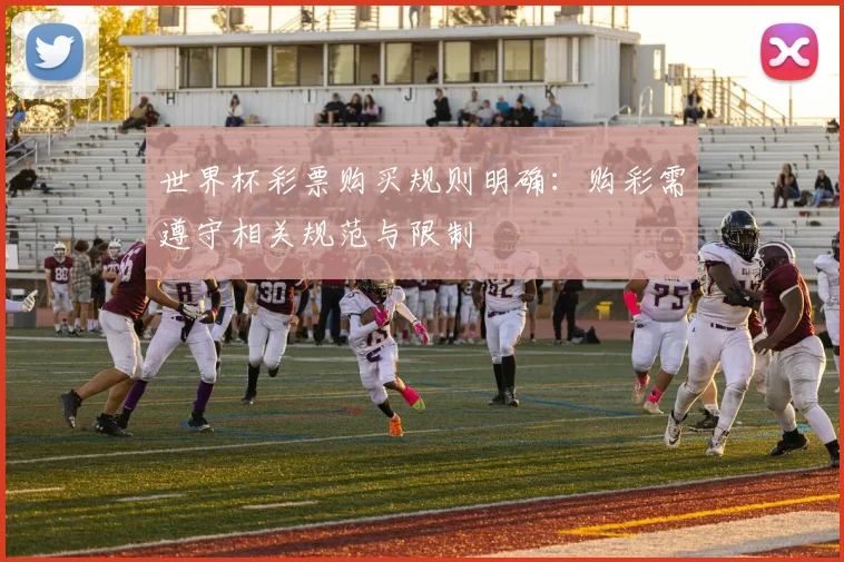 世界杯彩票购买规则明确：购彩需遵守相关规范与限制